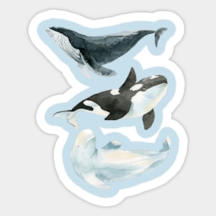 Sea love Sticker